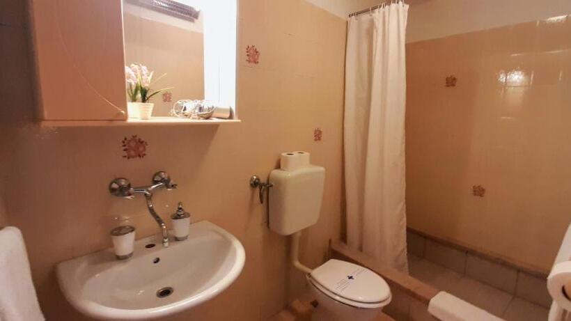 آپارتمان 1 خوابه با تراس, Pansion Ivan & Ivana