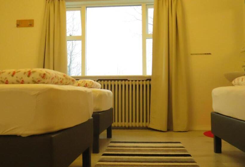 اتاق استاندارد سه تخته با سرویس بهداشتی مشترک, Guesthouse Kalfafellsstadur