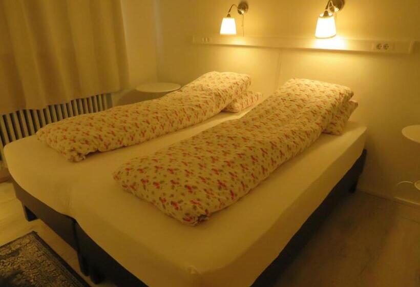 اتاق استاندارد با سرویس بهداشتی مشترک, Guesthouse Kalfafellsstadur