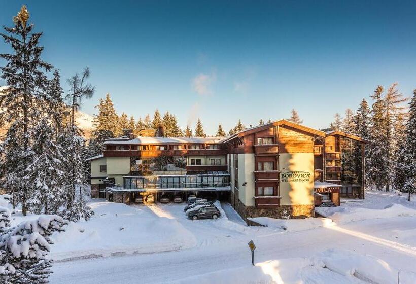 סוויטת פרמיום, Aplend Wellness Hotel Borovica