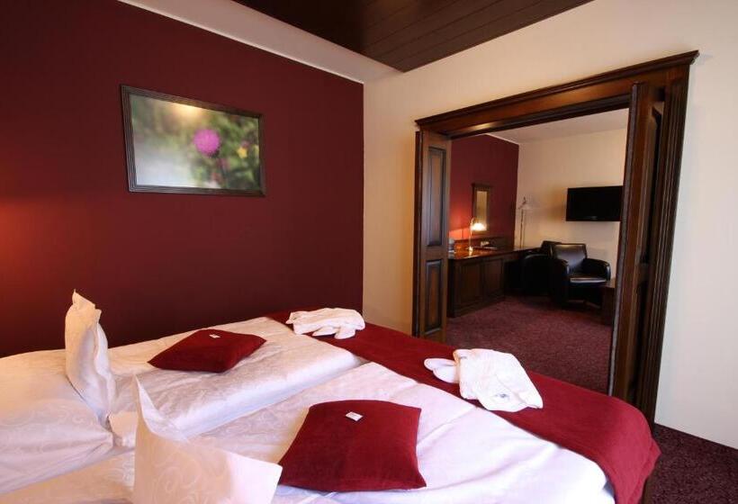 סוויטת פרמיום, Aplend Wellness Hotel Borovica