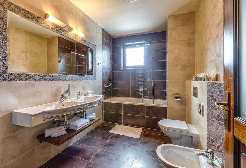اتاق لوکس, Aplend Wellness Hotel Borovica