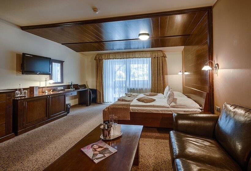 חדר דלוקס, Aplend Wellness Hotel Borovica