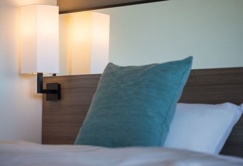 اتاق استاندارد یک نفره, Airport Hotel Kumamoto