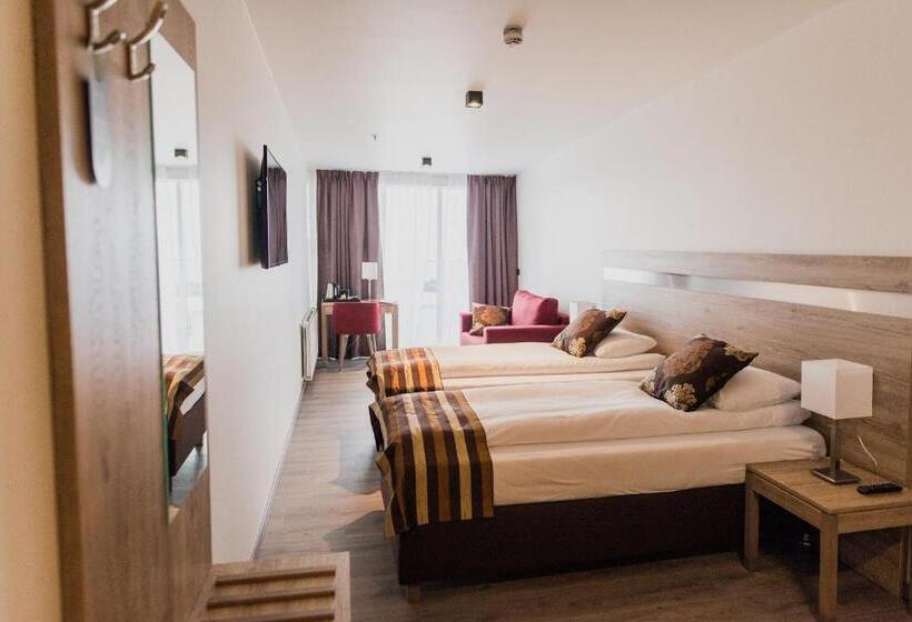 اتاق سوپریور با چشم‌انداز دریا, Duus By Keflavik Airport