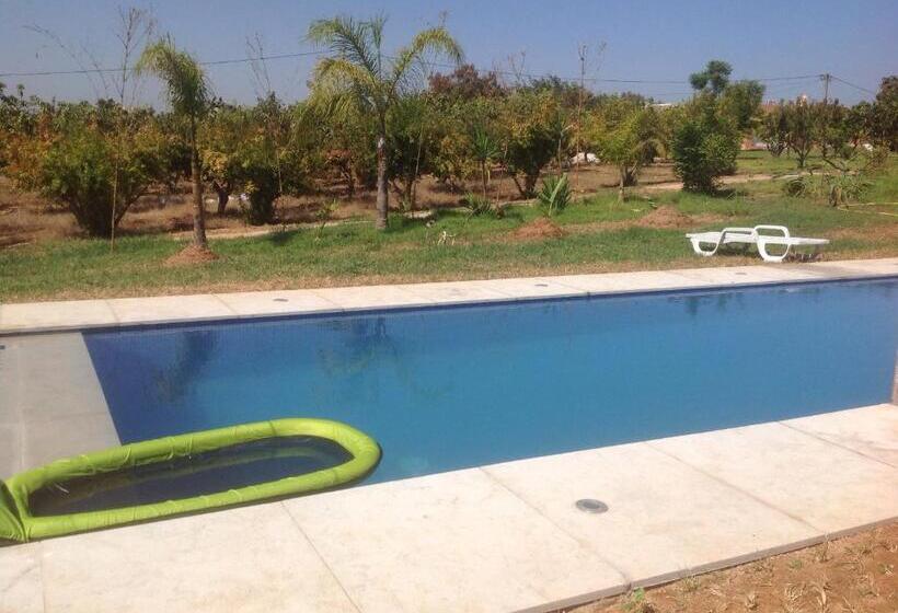 بنجلو قياسى, Palais D Hôtes