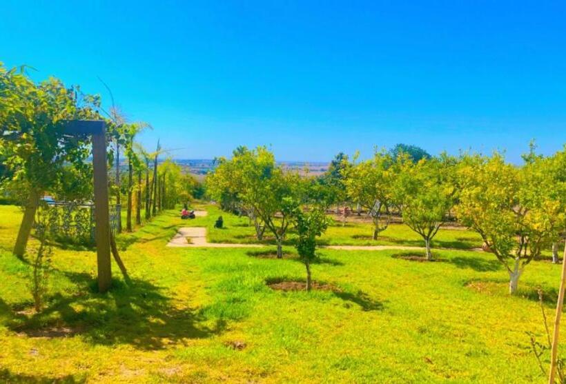 فيلا 3 غرف نوم, Palais D Hôtes