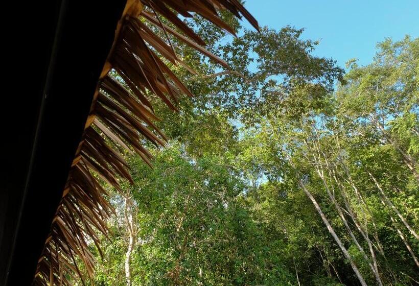 اتاق استاندارد با چشمانداز, A Rock Resort Langkawi Coral Reefs