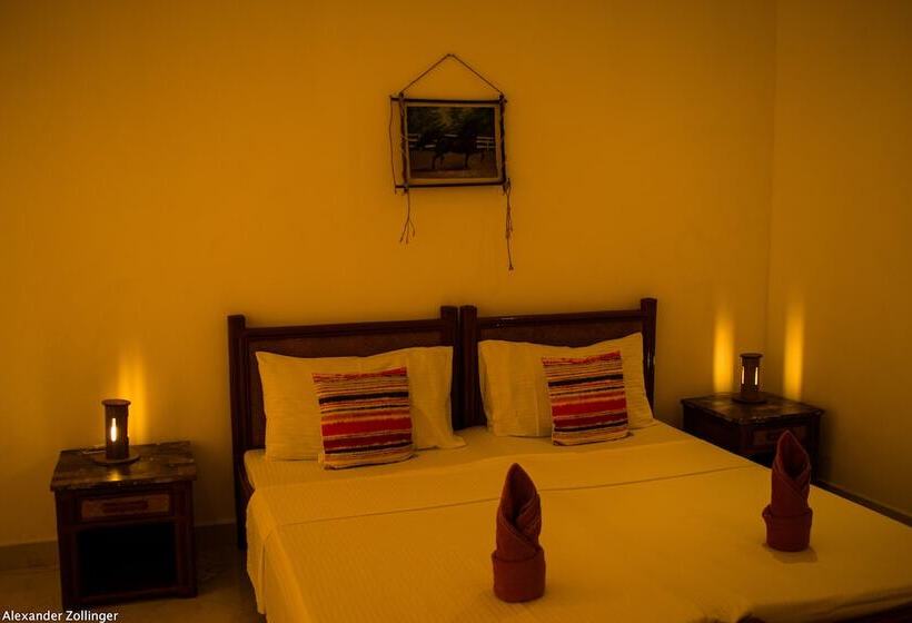 اتاق لوکس, Alona Vida Beach Resort