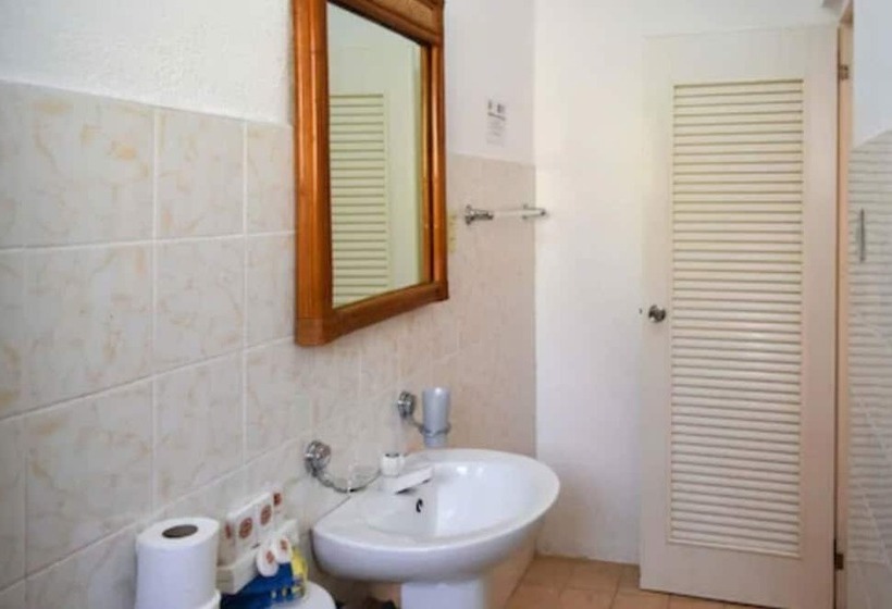 اتاق استاندارد, Alona Vida Beach Resort