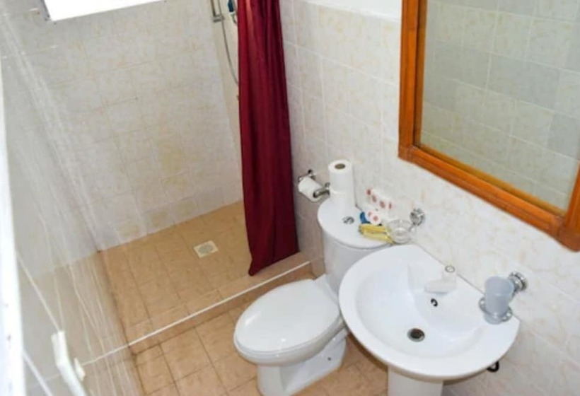 اتاق استاندارد, Alona Vida Beach Resort