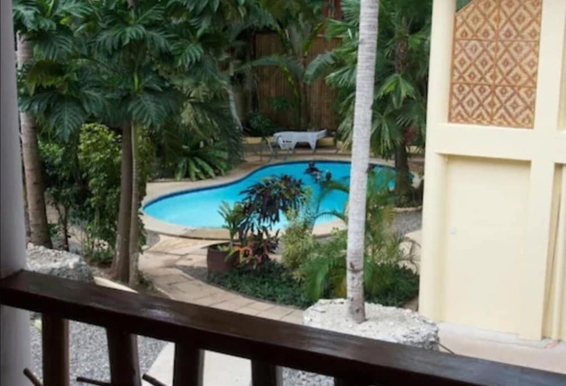 패밀리 룸, Alona Vida Beach Resort