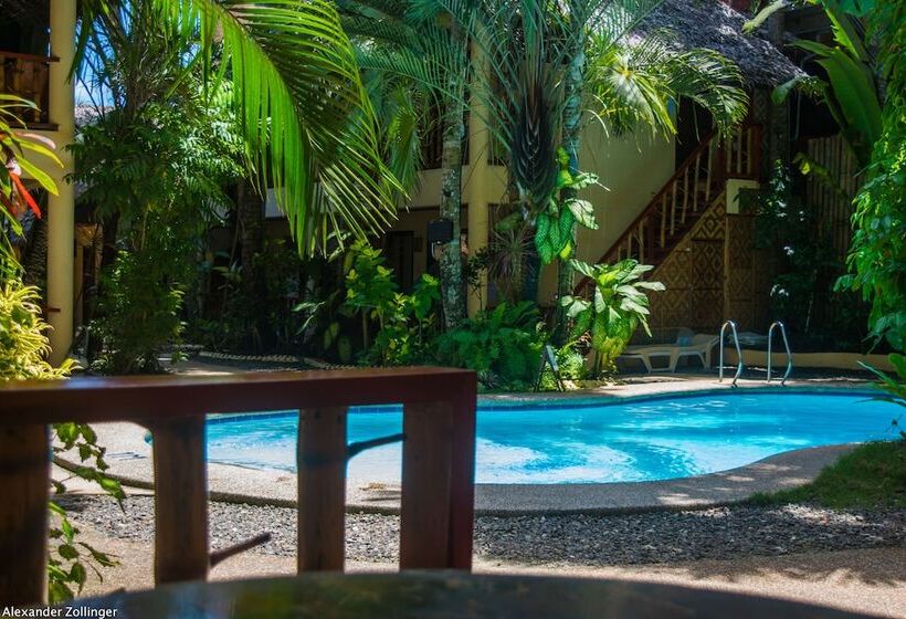 수피리어 룸, Alona Vida Beach Resort
