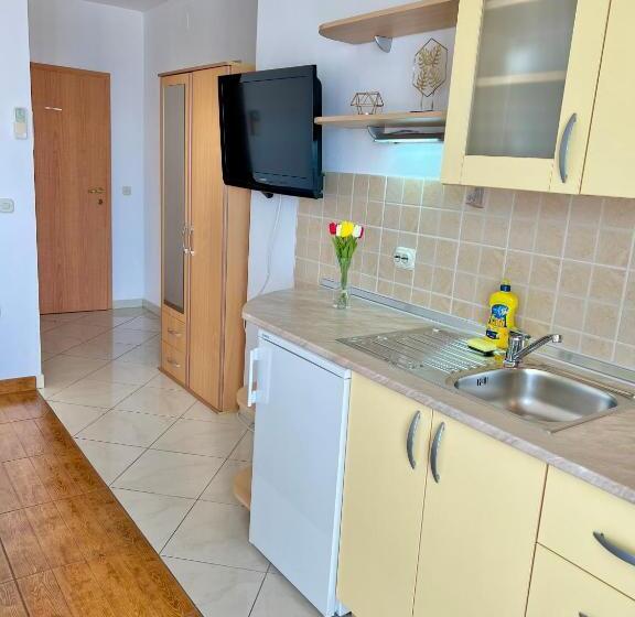 استودیو استاندارد با چشم‌انداز دریا و بالکن, Vespera Apartments