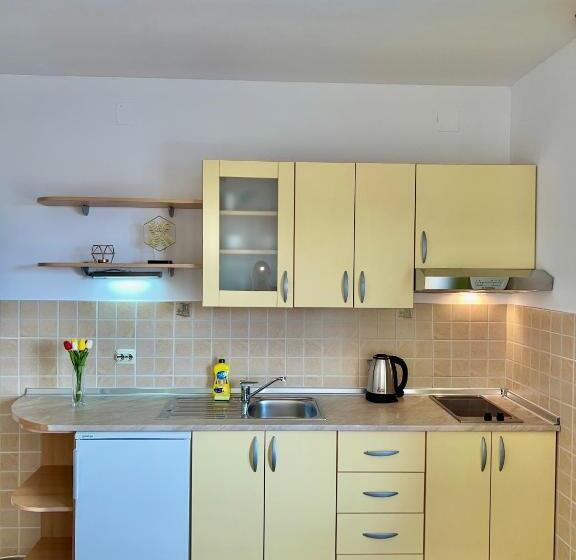 استودیو استاندارد با چشم‌انداز دریا و بالکن, Vespera Apartments