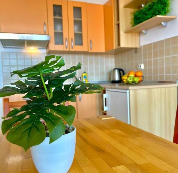 آپارتمان 1 خوابه با بالکن و چشم‌انداز دریا, Vespera Apartments