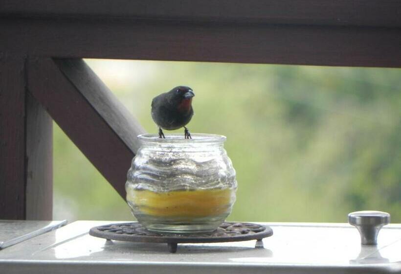 آپارتمان 1 خوابه با چشمانداز دریا, Villa Touloulou