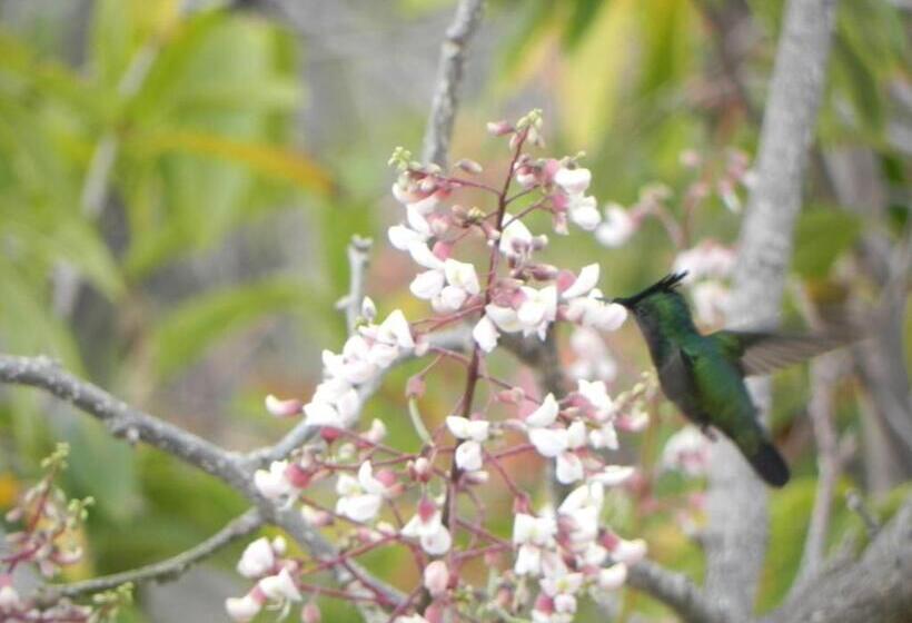 آپارتمان 1 خوابه با چشمانداز دریا, Villa Touloulou