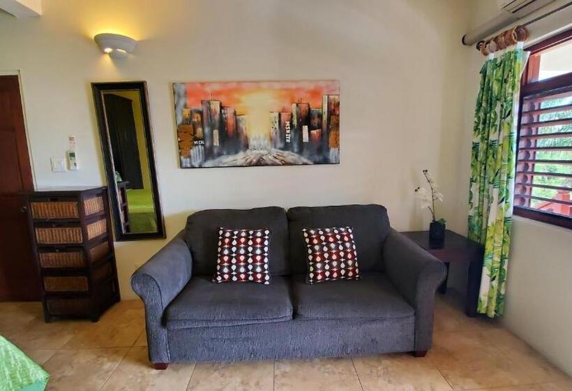 آپارتمان 1 خوابه با چشمانداز دریا, Villa Touloulou