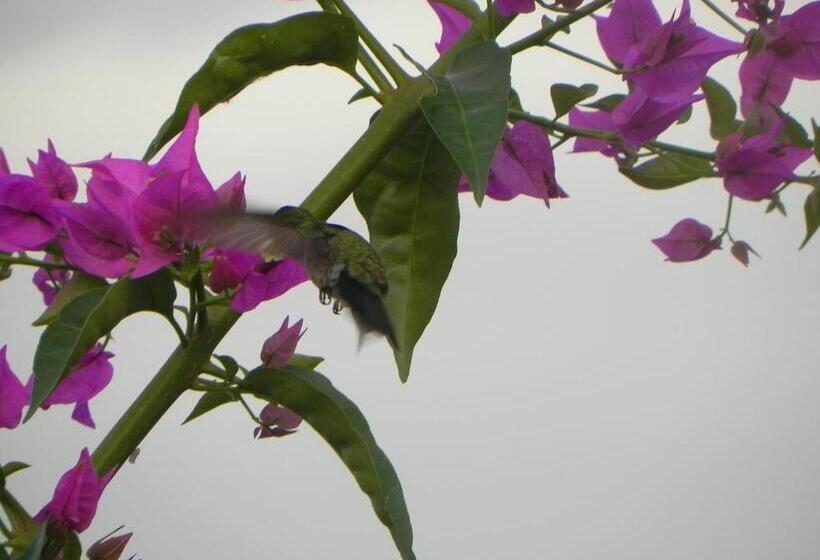 1 Bedroom Penthouse Apartment, Villa Touloulou