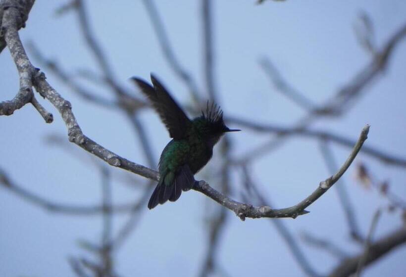 1 Bedroom Penthouse Apartment, Villa Touloulou