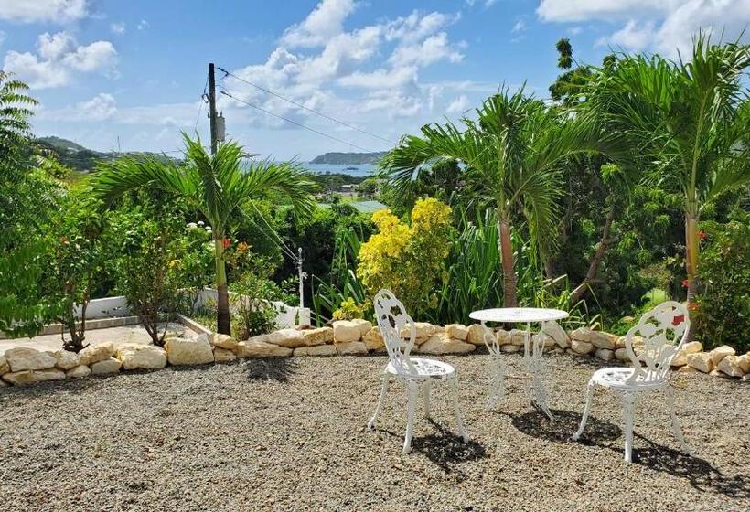 آپارتمان 1 خوابه همکف, Villa Touloulou