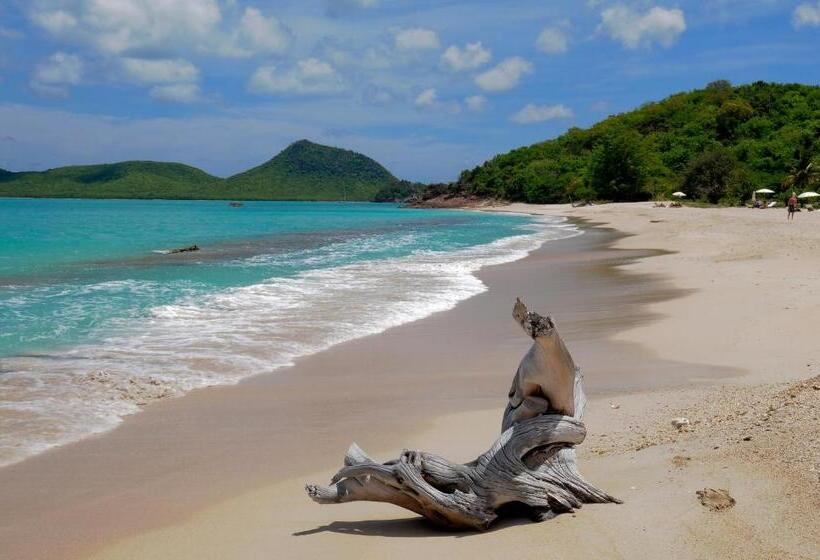 آپارتمان 1 خوابه با تراس, Villa Touloulou