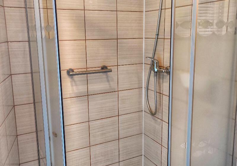 Номер Стандарт, Logos