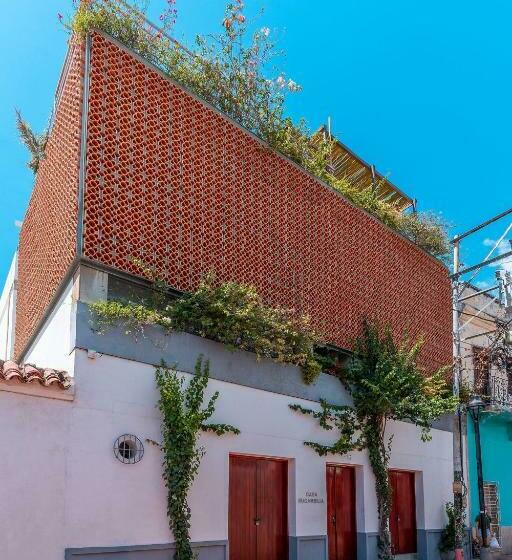 Апартаменты 1 Спальня, Casa Bugambilia