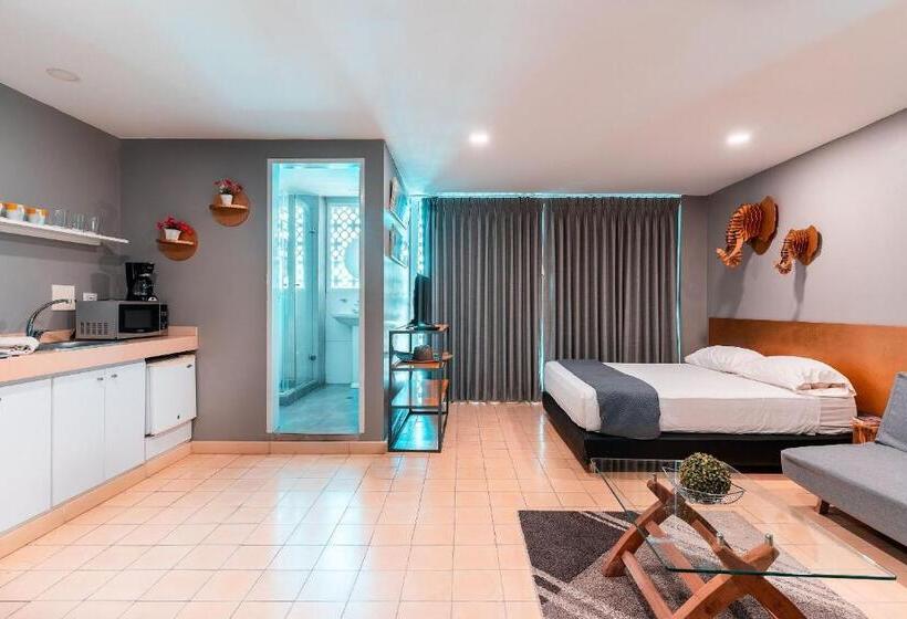 דירה בת חדר שינה 1 עם מרפסת, Casa Bugambilia