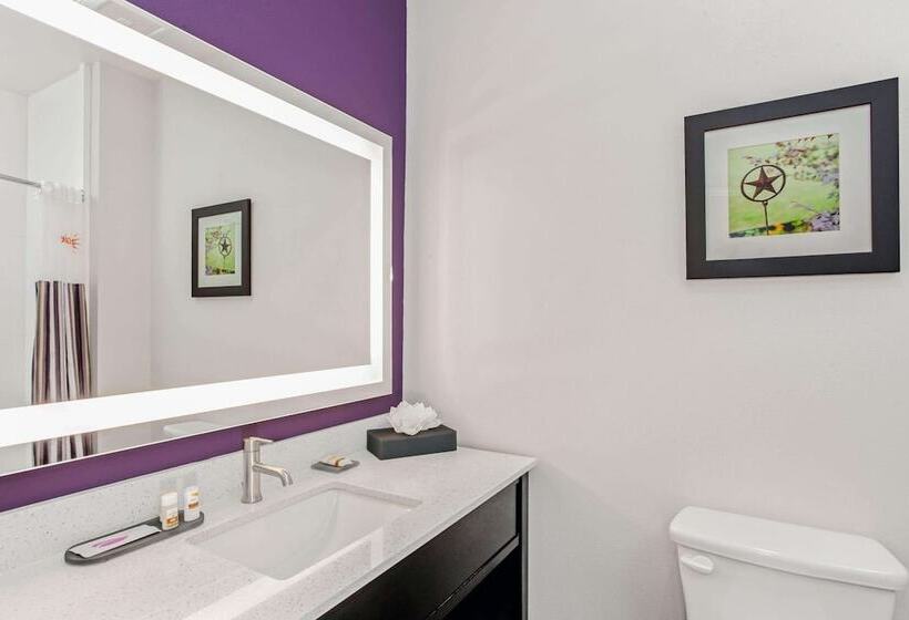 适合残疾人士使用的套间, La Quinta By Wyndham Lubbock South