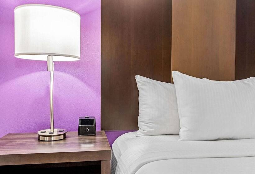 适合残疾人士使用的套间, La Quinta By Wyndham Lubbock South