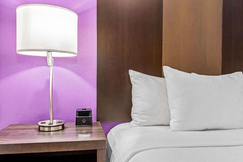 适合残疾人士使用的套间, La Quinta By Wyndham Lubbock South