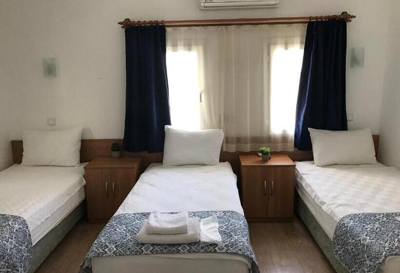 اتاق استاندارد سه نفره, Tay Pansiyon