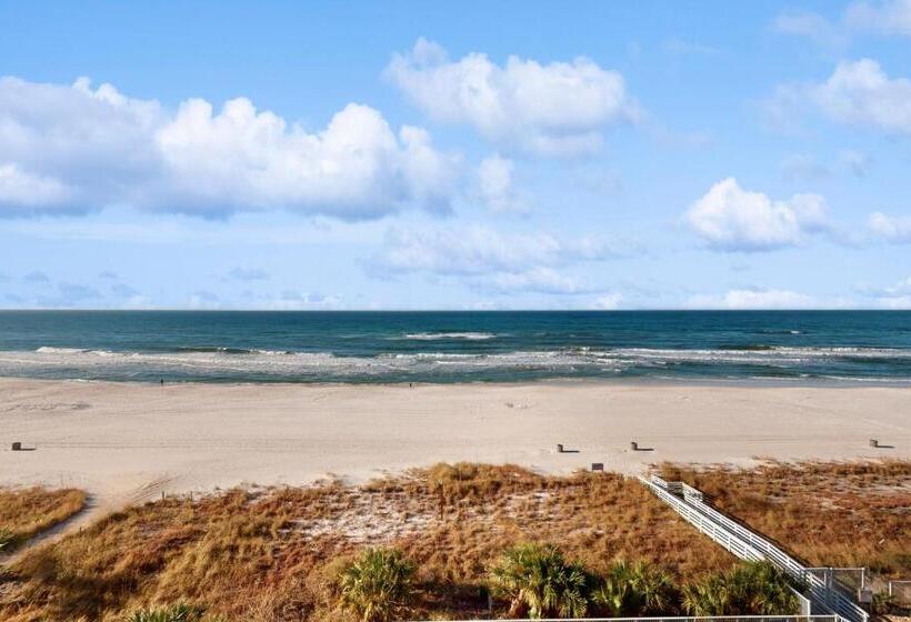 آپارتمان 1 خوابه, Twin Palms 603