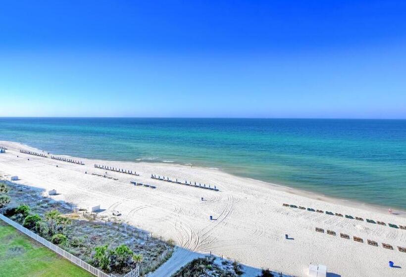 آپارتمان 1 خوابه, Twin Palms 603