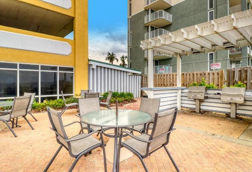 آپارتمان 1 خوابه, Twin Palms 603