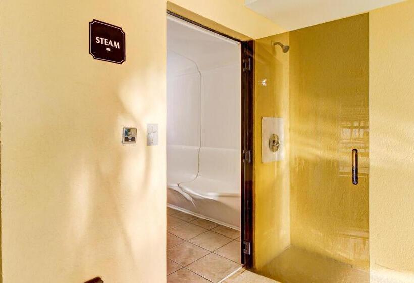 آپارتمان 1 خوابه, Twin Palms 603