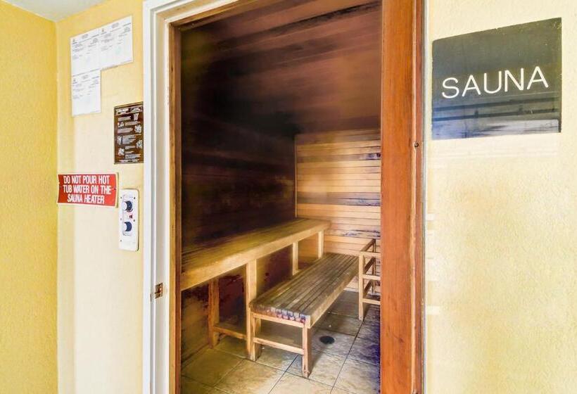 آپارتمان 1 خوابه, Twin Palms 603