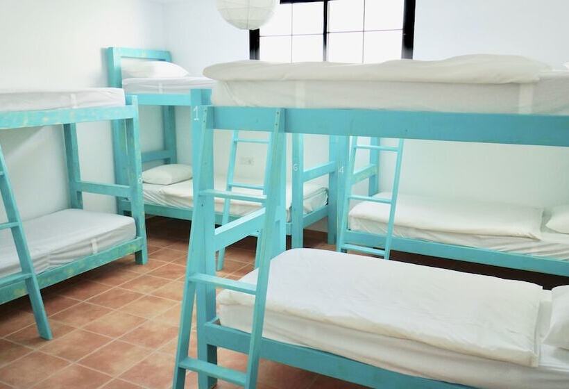 ルームシェアのワンベッド, Surfers Retreat