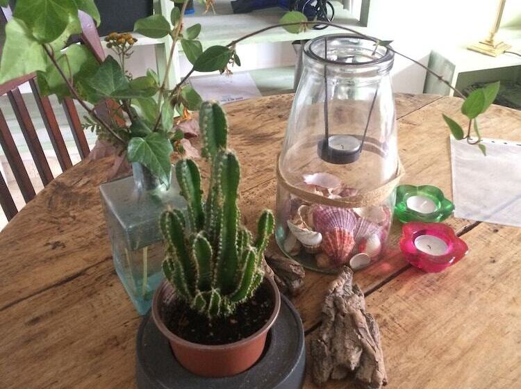 マウンテンビュースタンダードルーム, Casa Catharina