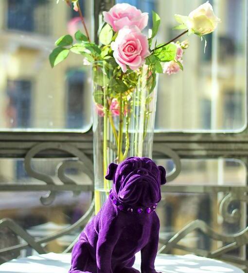 سوییت, Purple Dog Suites