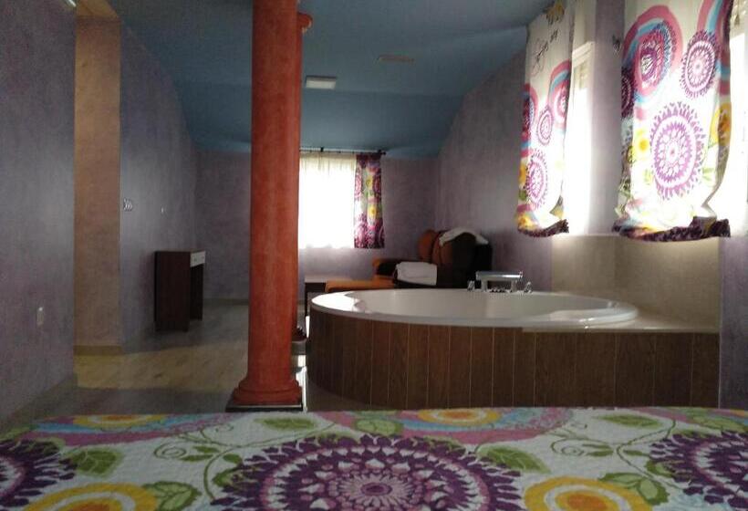 Студия Стандарт, Hostal Orly