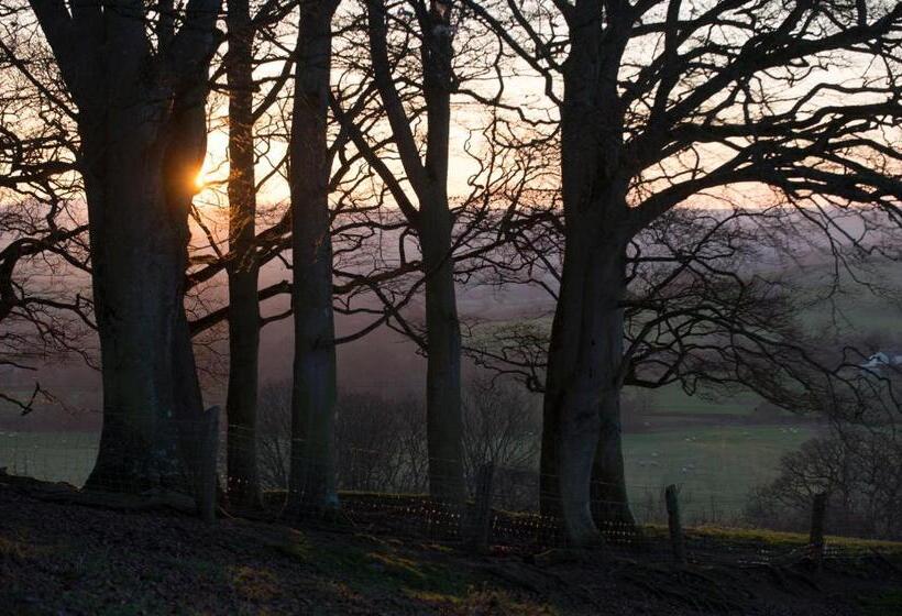 חדר דלוקס, Hall Bed & Breakfast