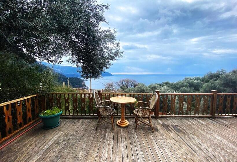 Семейное Бунгало, Kabak Armes