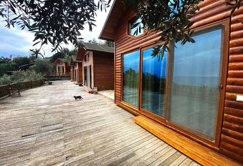 Семейное Бунгало, Kabak Armes