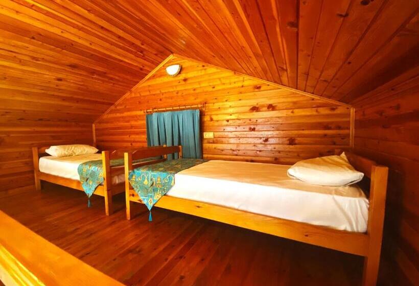 Семейное Бунгало, Kabak Armes