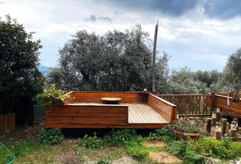 Номер Стандарт, Kabak Armes