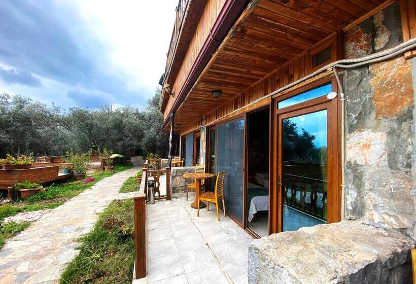 Номер Стандарт, Kabak Armes