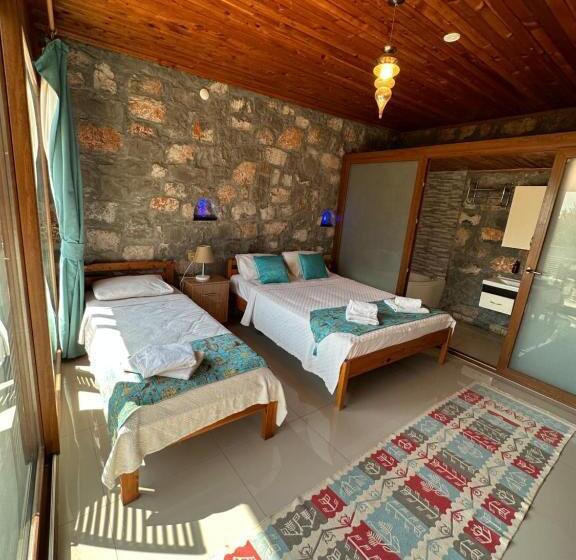 Номер Стандарт, Kabak Armes